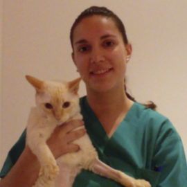 Hospital Veterinario Nacho Menes